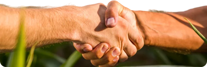 Crédito para o campo é com a Sulcredi