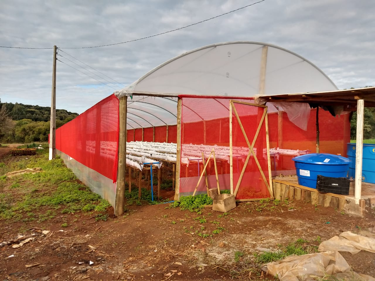 Sonhos de pequenos agricultores se tornam realidade na Sulcredi